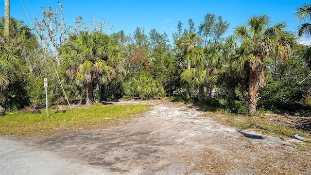 660 Longview Dr, Longboat Key, FL 34228 - photo 24