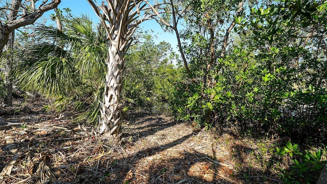 660 Longview Dr, Longboat Key, FL 34228 - photo 25