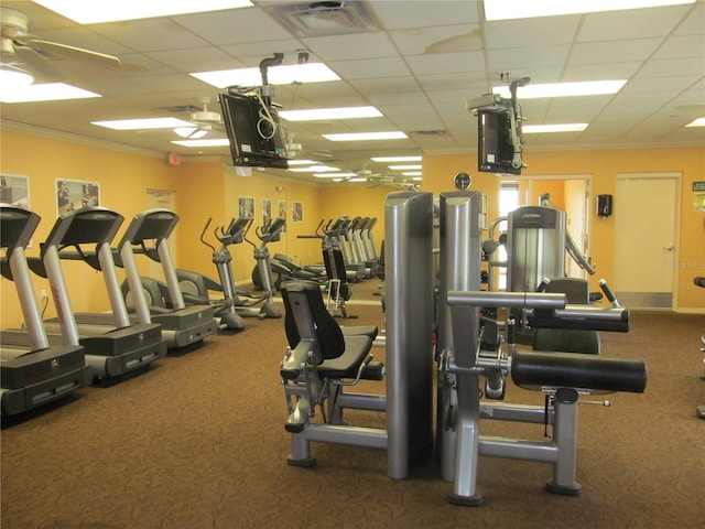 workout area with a paneled ceiling, ceiling fan, crown molding, and carpet floors