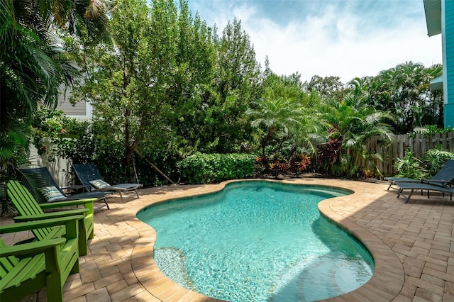 view of swimming pool with a patio area