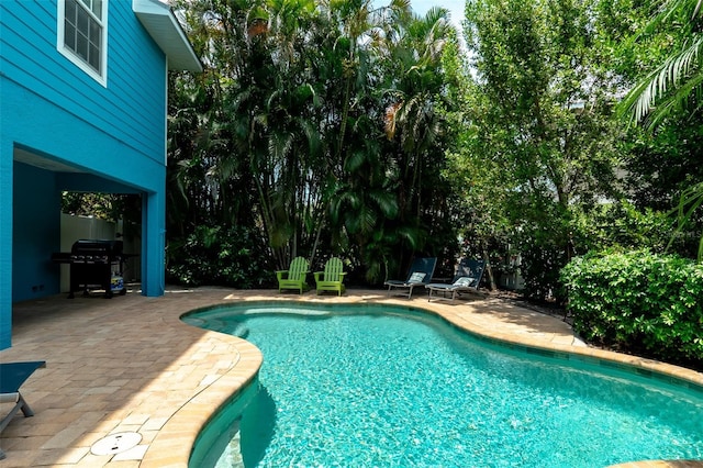 view of swimming pool with grilling area and a patio