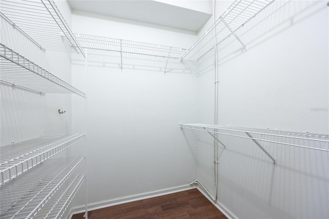 spacious closet featuring hardwood / wood-style floors