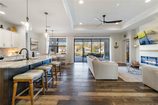 living room featuring dark hardwood / wood-style floors, a raised ceiling, ceiling fan, and sink