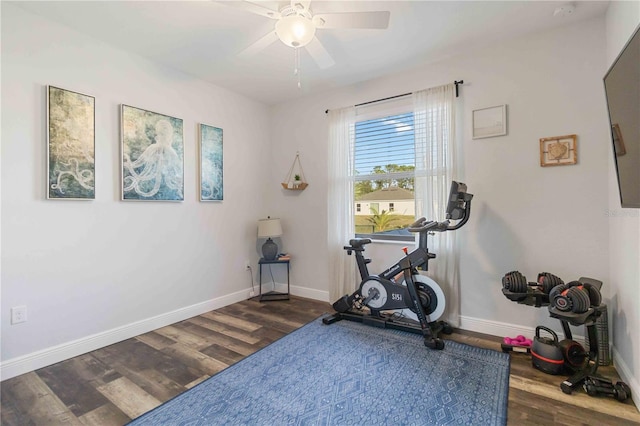 exercise room featuring ceiling fan and dark wood-type flooring