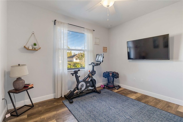 exercise room featuring ceiling fan and dark hardwood / wood-style flooring