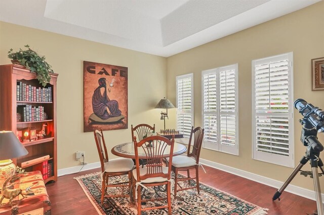 dining room featuring a tray ceiling and dark wood-type flooring