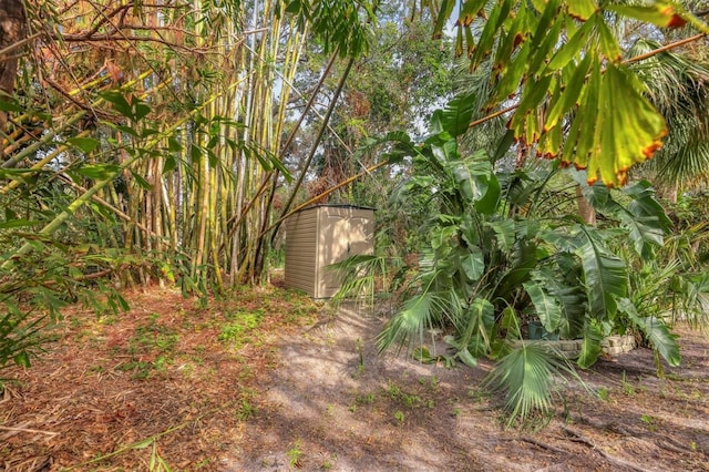 view of yard with a shed