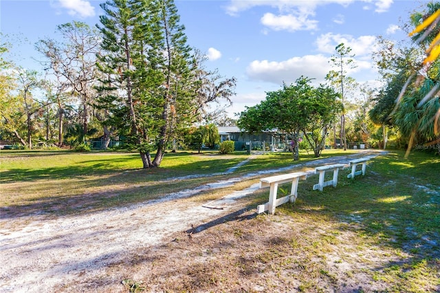 view of community with a lawn