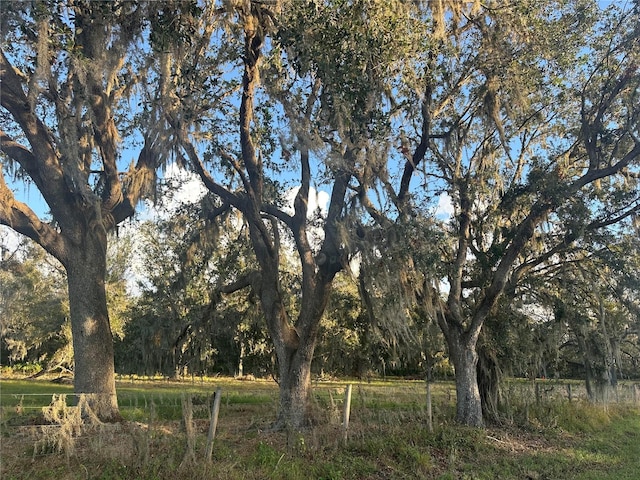 0 Polk Rd, Wauchula FL, 33873 land for sale