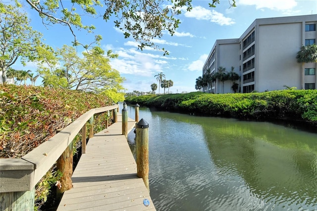 dock area with a water view