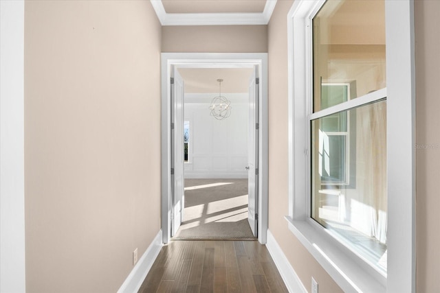 corridor with crown molding, an inviting chandelier, and hardwood / wood-style flooring