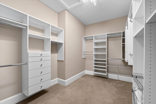 spacious closet with carpet flooring