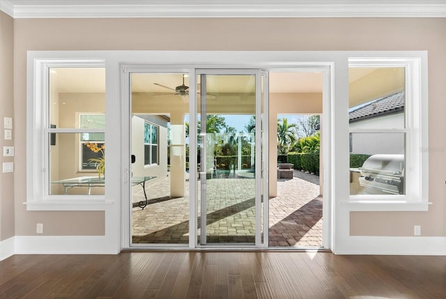 doorway with plenty of natural light, dark hardwood / wood-style floors, ornamental molding, and ceiling fan