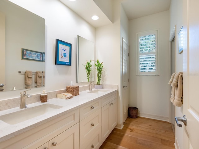 bathroom with vanity and wood-type flooring