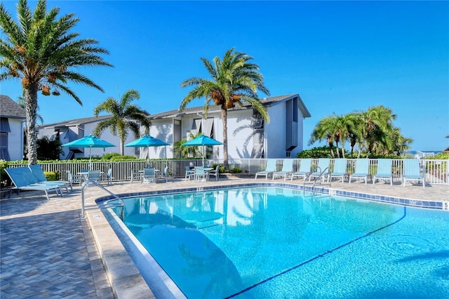 view of swimming pool featuring a patio area