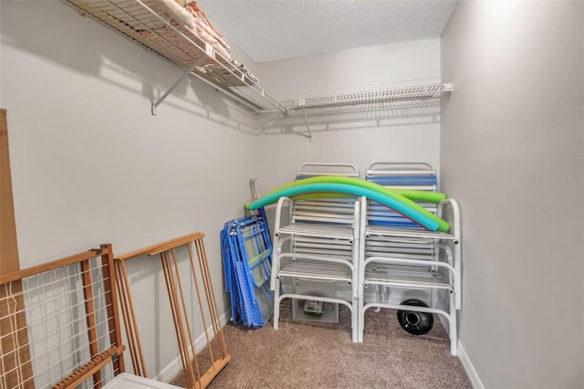 spacious closet featuring carpet floors