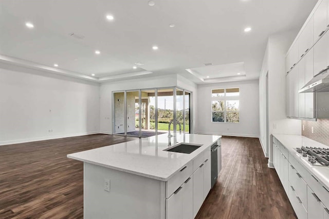 8007 Nevis Run, Bradenton, FL 34202 - kitchen with a tray ceiling, a sink, baseboards, dark wood-style floors, and recessed lighting