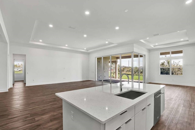 8007 Nevis Run, Bradenton, FL 34202 - kitchen featuring a tray ceiling, a sink, open floor plan, recessed lighting, and baseboards