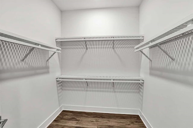 8007 Nevis Run, Bradenton, FL 34202 - walk in closet with wood finished floors