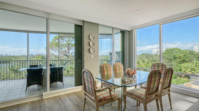 view of sunroom