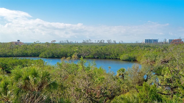 property view of water