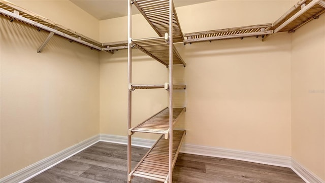 spacious closet with wood-type flooring