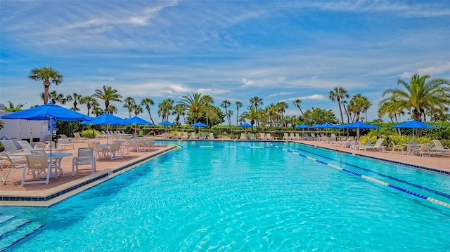 view of pool with a patio area