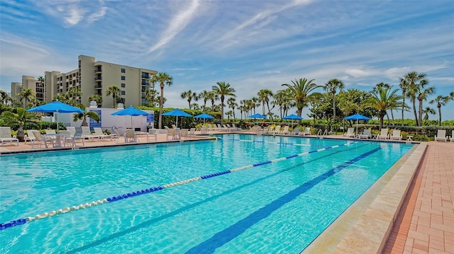 view of pool with a patio area