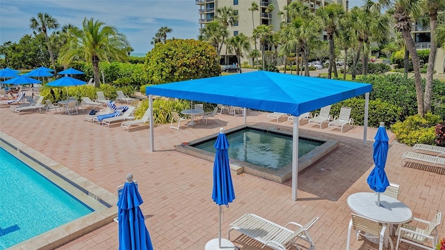 view of pool with a patio