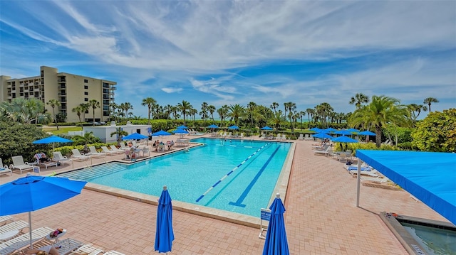 view of swimming pool with a patio