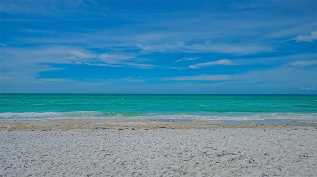 water view featuring a beach view