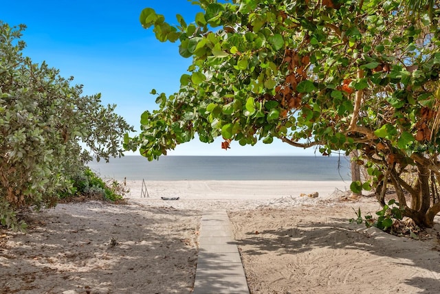 view of water feature featuring a beach view