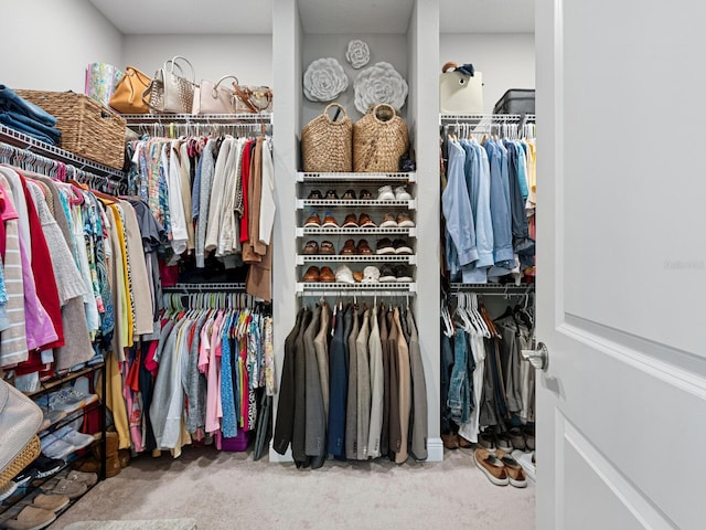 spacious closet featuring carpet