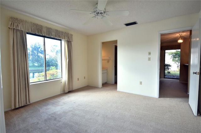 spare room featuring light carpet, a textured ceiling, and a healthy amount of sunlight