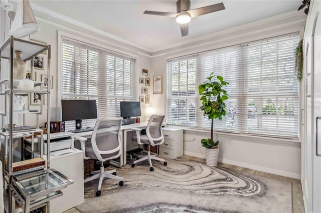 office featuring crown molding, baseboards, and ceiling fan