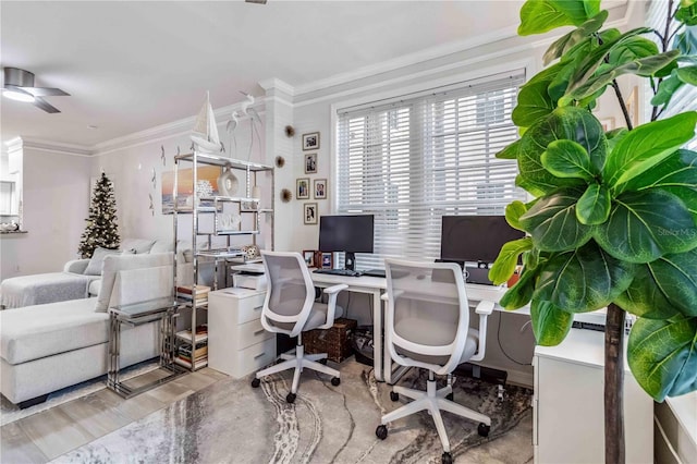 office space with crown molding and ceiling fan