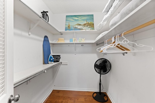 walk in closet featuring hardwood / wood-style floors