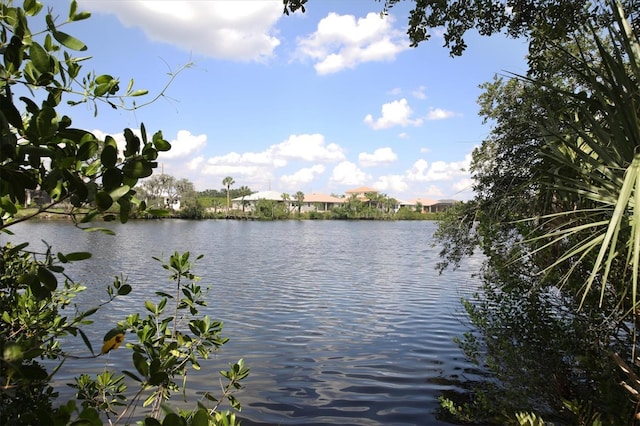 view of water feature