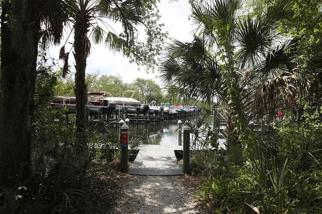 view of dock featuring a water view