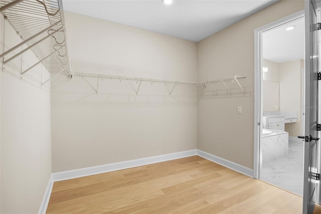 spacious closet with wood-type flooring