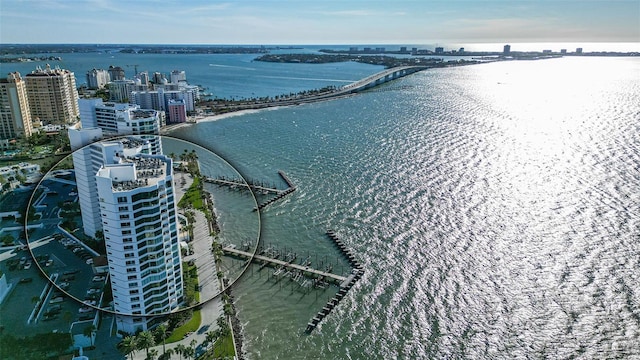 aerial view with a water view