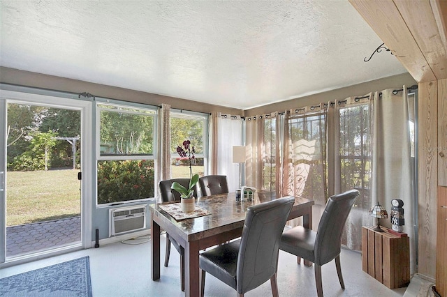 sunroom / solarium with a wall unit AC