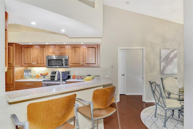 kitchen with stainless steel appliances, a kitchen breakfast bar, light stone counters, dark hardwood / wood-style flooring, and kitchen peninsula