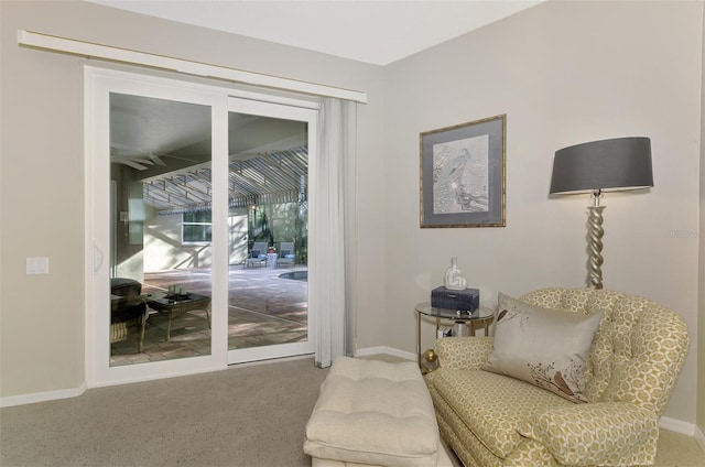 sitting room with carpet floors