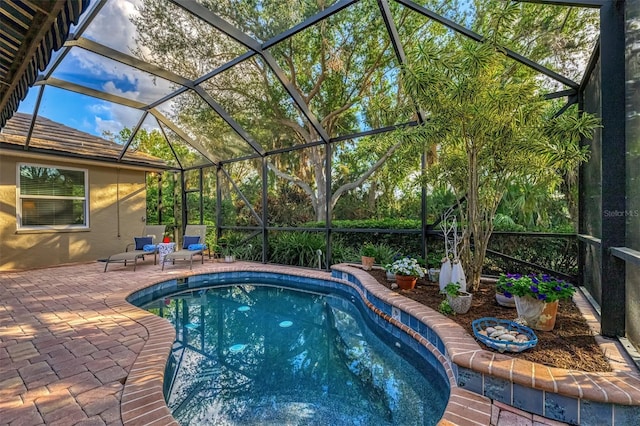 view of swimming pool with a lanai and a patio area