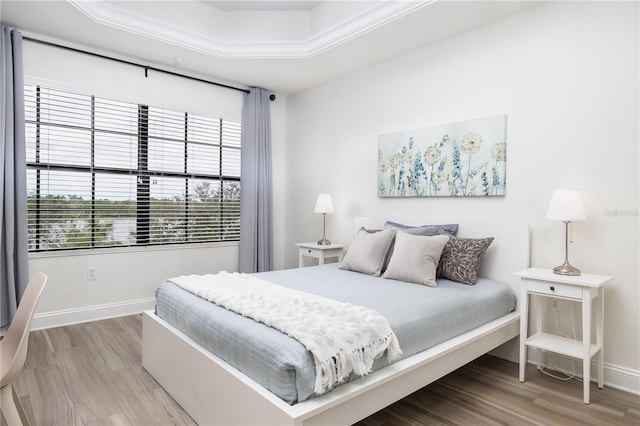 bedroom with a tray ceiling and hardwood / wood-style floors