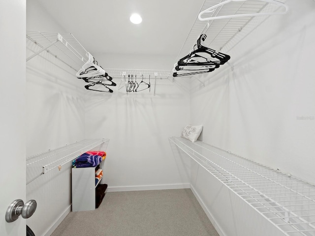 spacious closet with carpet