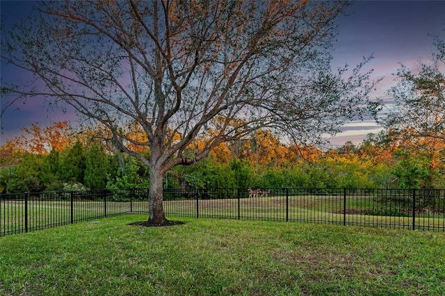 view of yard at dusk