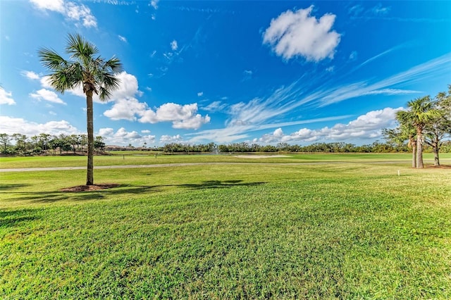 view of yard featuring a rural view