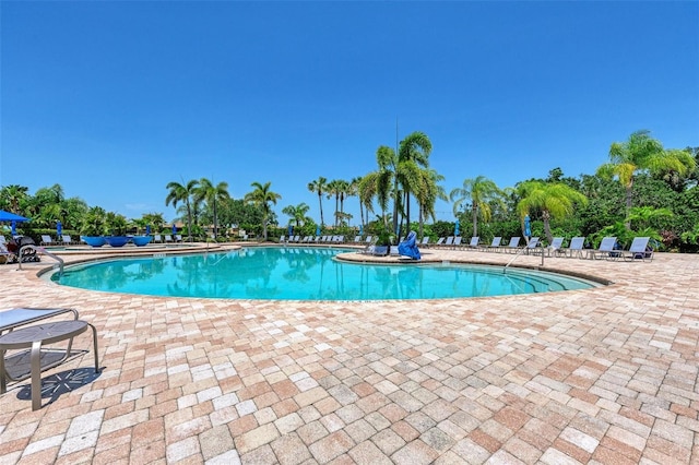 view of swimming pool featuring a patio area